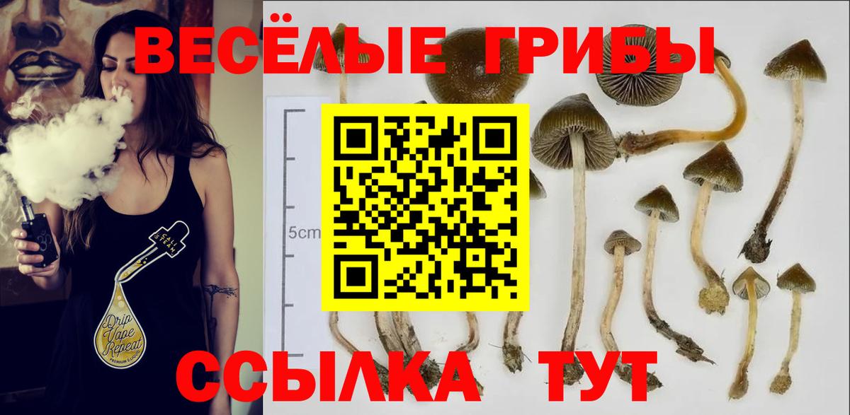 Шадринск  Псилоцибиновые грибы прущие грибы  Вход с VPN 